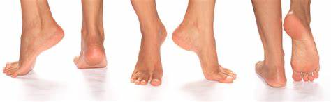 foot types